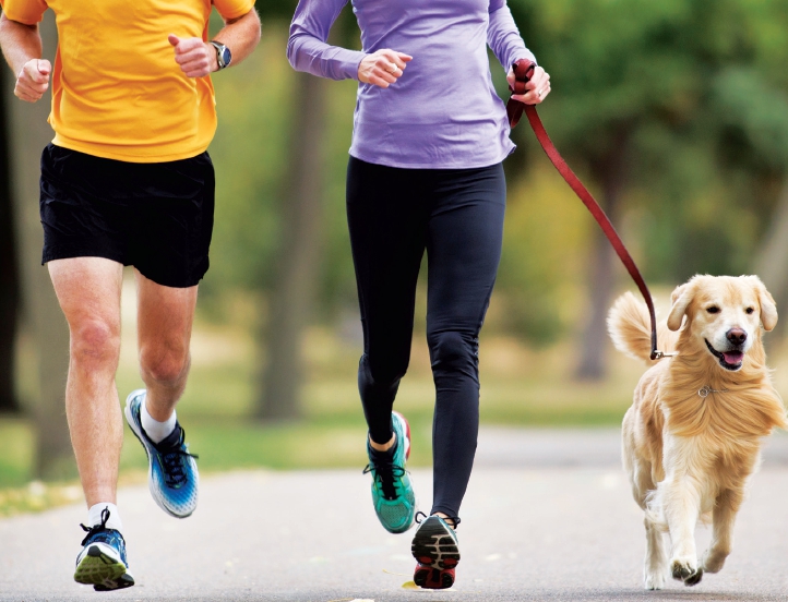 2ο Run with your Dog: Tρέξτε με το σκύλο σας για καλό σκοπό
